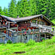 Bacherwandalm