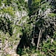 Wanderung durch die Bärenschützklamm und auf den Hochlantsch