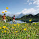 Bergblumenpfad