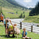 Seebachsee Themenweg