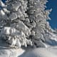 Winterlicher Besinnungsweg Absam - Gnadenwald