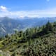 Salzburger Almenweg - Etappe 5: Von Dorfgastein zur Biberalm
