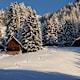 Böse Nase von der Christebauerhütte
