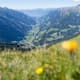 Auf das Glaitner Hochjoch