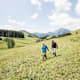 Brunnbach - Anlaufalm im Nationalpark Kalkalpen
