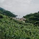 Cinque Terre: Sentiero Verde-Azzurro – Etappe 2: Von Monterosso nach Vernazza