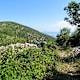 Crna Punta