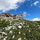 Wanderung zur Cufercalhütte von Sufers