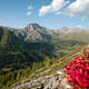 Zur Fuorcla Champatsch ab Scuol