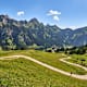 Drei-Hütten-Tour: Krinnenalpe - Nesselwängler Edenalpe - Gräner Ödenalpe