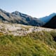 Wanderung zur Dresdner Hütte von der Talstation Gamsgartenbahn