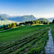 Waldstätterweg - Etappe 6: Bürgenstock - Beckenried