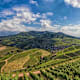 Durbacher Weinpanorama