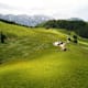 Themenweg, Wollgras, Alm und Wasserschwinde