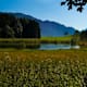 Egelsee