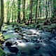 Eifelsteig - Etappe 02: Roetgen - Monschau