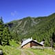Almenweg 1.600 - Etappe 1: Von Ellbögen/Mühltal zur Patscherkofel Bergstation
