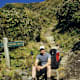 Fanthams Peak