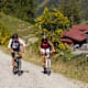 Feilkopf
