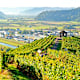 Ortenauer Weinpfad - Etappe 6: Von Zell-Weierbach nach Gengenbach
