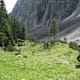 Halltal - Bettelwurfhütte - Lafatscherjoch