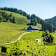 Wanderung zur Hocherbalm von der Steinbergalm