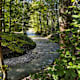 Rundwanderung Traunkirchen - Hofgraben/Buchberg