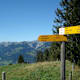 Panoramaweg Niesen - Diemtigtal