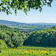Ith-Hils-Weg Etappe 7: Salzhemmendorf - Coppenbrügge