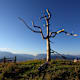 Salzburger Almenweg - Etappe 14: Vom Gernkogel/St. Johann zur Kleinarler Hütte