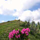 Kleiner Frauenkogel