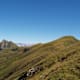 Kreuzboden - Waldalm - Hirschkopf - Reißrachkopf