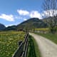Kreuzweg Virgen
