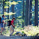Lagerhaus-Runde bei Geinberg