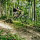 Mountainbiken in Niederösterreich – die schönsten Trails
