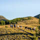 nock/art Route 6: Mallnock-Alpinrunde