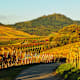 Durch die Weinberge von Endersbach