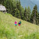 Mittertaler Almenrundweg im Antholzertal