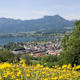 Hauberg - Lederberger