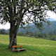 Mostbauern-Runde (RundWanderWelt Hinterstoder)