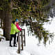 Vom Mummelsee zur Hornisgrinde
