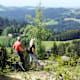 Natur-Geheimnis-Pfad bei St. Georgen am Walde