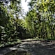 Natur Pur im Almtal ab Bad Wimsbach-Neydharting