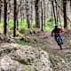 Downhill Kalabrien: Alisea