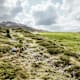 Paznauner Höhenweg - Etappe 2: Von der Ascherhütte nach Kappl