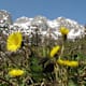 Von Annaberg nach Abtenau - Quehenberg - Gsengalm - Karkogel