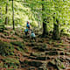 Reitenberg, Räuber-Heigl-Höhle und Kaitersberg
