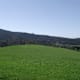 Riedl Runde