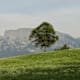 Rittner Horn ab Pemmern