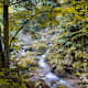 Bärenschützklamm von Mixnitz zum Guten Hirten